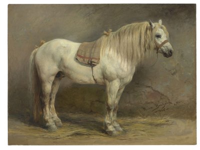 Un cavallo bianco da Rosa Bonheur