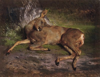 Un capriolo nella foresta da Rosa Bonheur