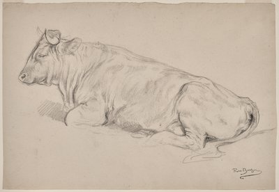  da Rosa Bonheur