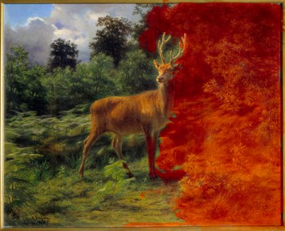 Cerf écoutant le vent da Rosa Bonheur