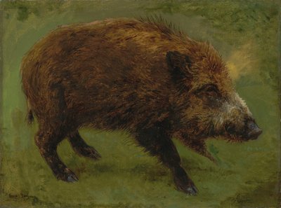 Francese:  Le sanglier Cinghiale da Rosa Bonheur