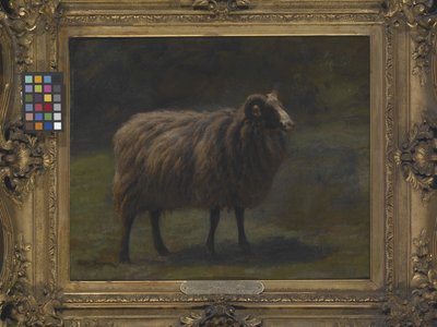 Ariete da Rosa Bonheur