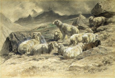 Pecore da Rosa Bonheur