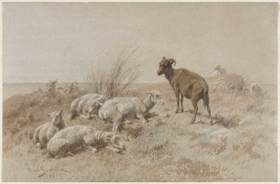 Pecore da Rosa Bonheur