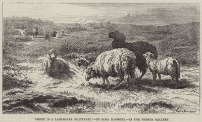 Pecore in un paesaggio, Bretagna da Rosa Bonheur