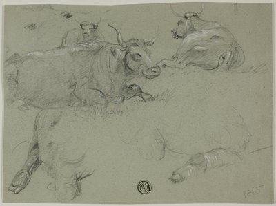 Schizzi di mucche da Rosa Bonheur