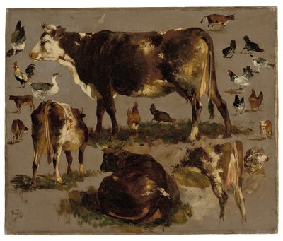 Studi di mucche, galline, galli, un