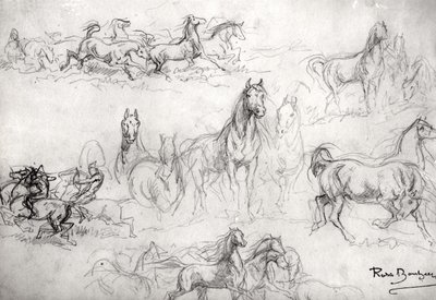 Studio di cavalli da Rosa Bonheur