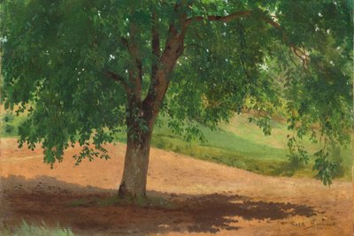 Studio di luce e ombra da Rosa Bonheur