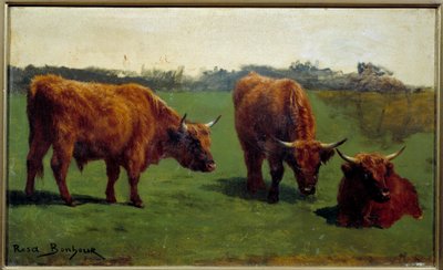 Tre studi di un bue rosso in un prato. Dipinto di Rosa Bonheur (1822-1899) da Rosa Bonheur