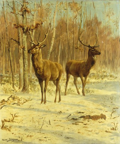 Due cervi in una radura in inverno da Rosa Bonheur