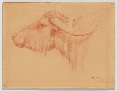  da Rosa Bonheur
