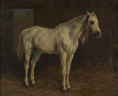 Cavallo bianco da Rosa Bonheur