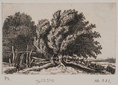 Paesaggio da Rosalie Holm