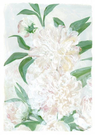 Peonie bianche fresche da Rosana Laiz Blursbyai
