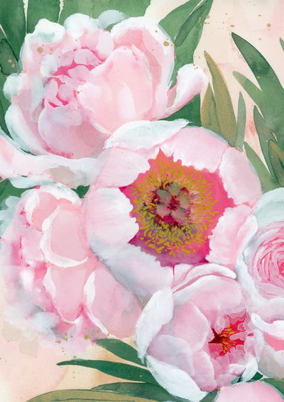 Fiori di peonia rosa da Rosana Laiz Blursbyai