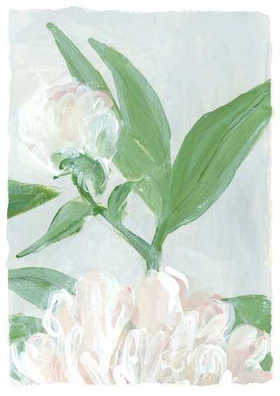 Morbidi fiori di peonia da Rosana Laiz Blursbyai