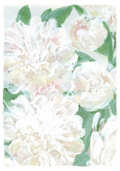 Peonie bianche e morbide da Rosana Laiz Blursbyai