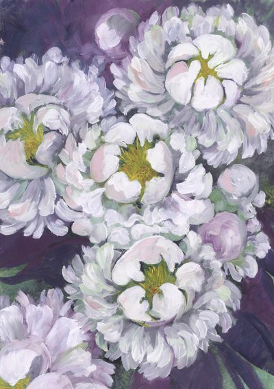 Fiori di peonia bianca da Rosana Laiz Blursbyai