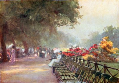 Azalee in fiore, Rotten Row da Rose Maynard Barton