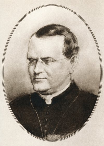 Gregor Johann Mendel, da Biografie Viventi di Grandi Scienziati da Ross Gordon