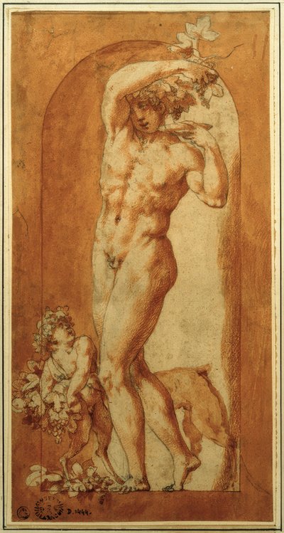 Bacco in nicchia da Rosso Fiorentino
