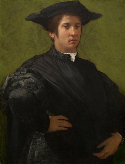 Ritratto di un Uomo da Rosso Fiorentino