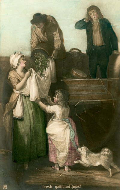 Piselli freschi raccolti da Rotophot
