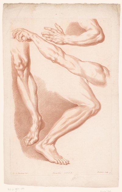 Varie vedute di due gambe e due braccia da Louis François Roubillac