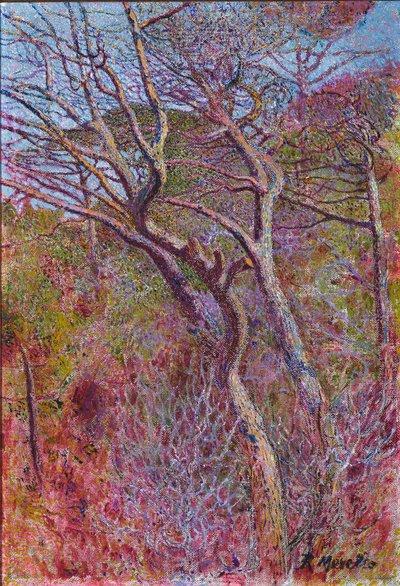 Paesaggio, Studio da Rubaldo Merello