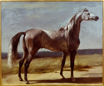 Cavallo in un paesaggio da Rudolf Koller