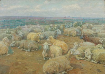 Parco delle pecore da Rudolf Konopa
