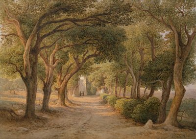 Castel Gandolfo da Rudolf Müller