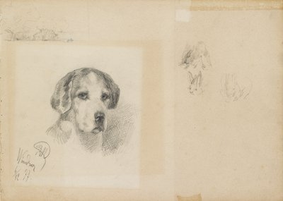 Ritratto di un cane: Windsor da Rudolf Wimmer