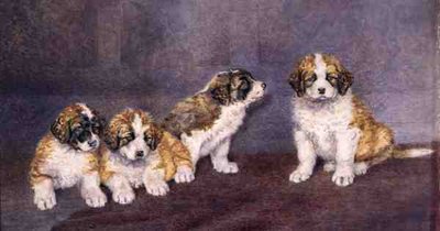 Cuccioli in consiglio da Rupert Arthur Dent