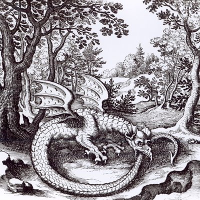 Un drago nella foresta, da 