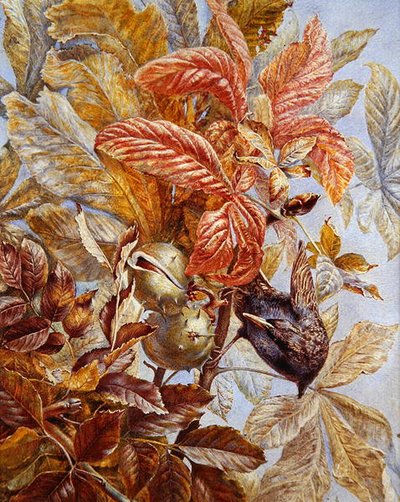 Uno Storno in un Albero di Castagno da Ruth Lindsay