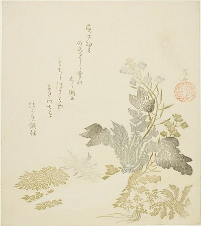 Un ravanello gigante (daikon), crisantemi e felci da Ryuryukyo Shinsai