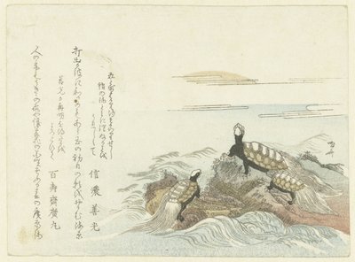 Tartarughe su una roccia da Ryuryukyo Shinsai