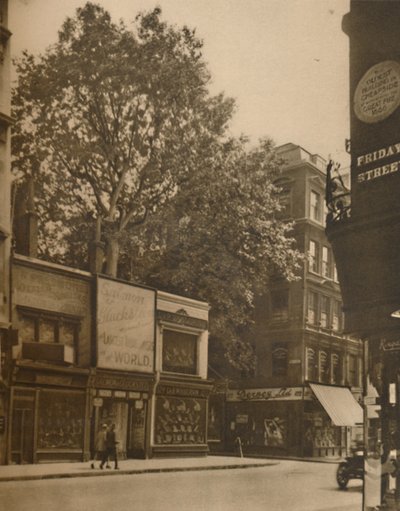 Un favorito abitante della città: il platano a Cheapside, c1935 da SO Gorse