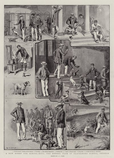 Un nuovo hobby per i ragazzi di scuola, il Kennel Club alla Clayesmore School, Enfield da S.T. Dadd