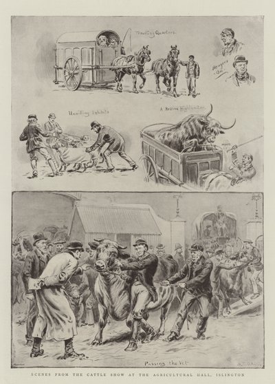 Scene dalla mostra del bestiame alla Agricultural Hall, Islington da S.T. Dadd