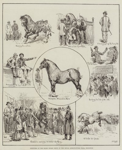 Schizzi alla mostra dei cavalli Shire, nella Royal Agricultural Hall, Islington da S.T. Dadd