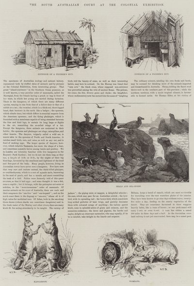 La Corte del Sud Australia alla Mostra Coloniale da S.T. Dadd