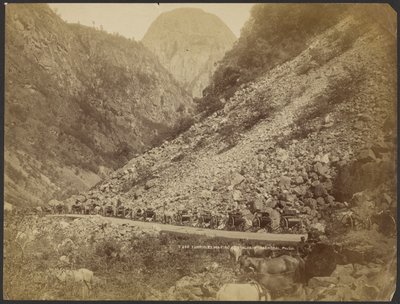 Carriole in attesa a Stalheim, Naerödal da S. E. Poulton