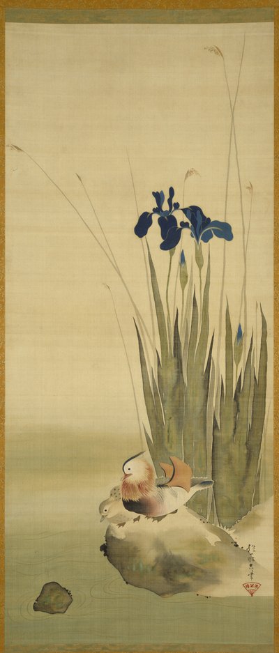 Iris e anatre mandarino da Sakai Hoitsu