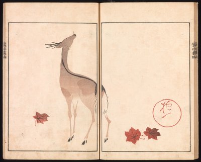  da Sakai Hoitsu