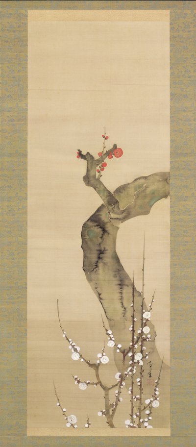 Fiori di prugna rossi e bianchi da Sakai Oho