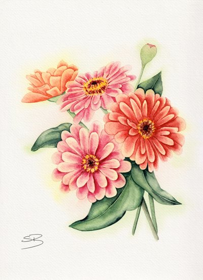 Bouquet di zinnie dai colori vivaci da Salome
