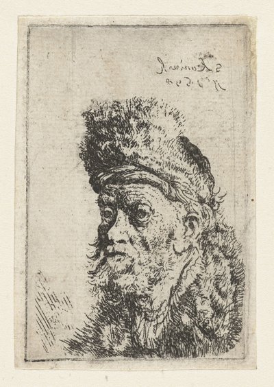 Busto di un uomo con cappello di pelliccia da Salomon Koninck